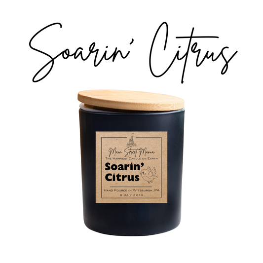 Soarin' Citrus Happiest Candle On Earth