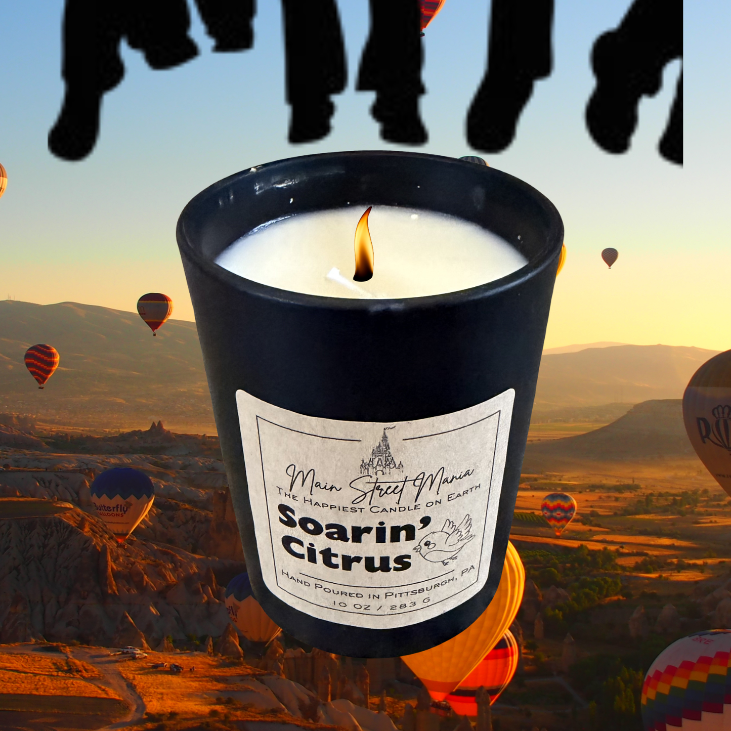 Soarin' Citrus Happiest Candle On Earth