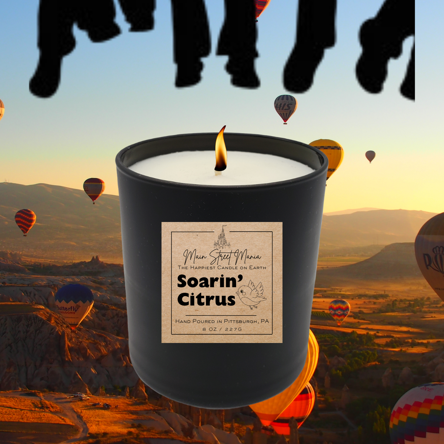 Soarin' Citrus Happiest Candle On Earth