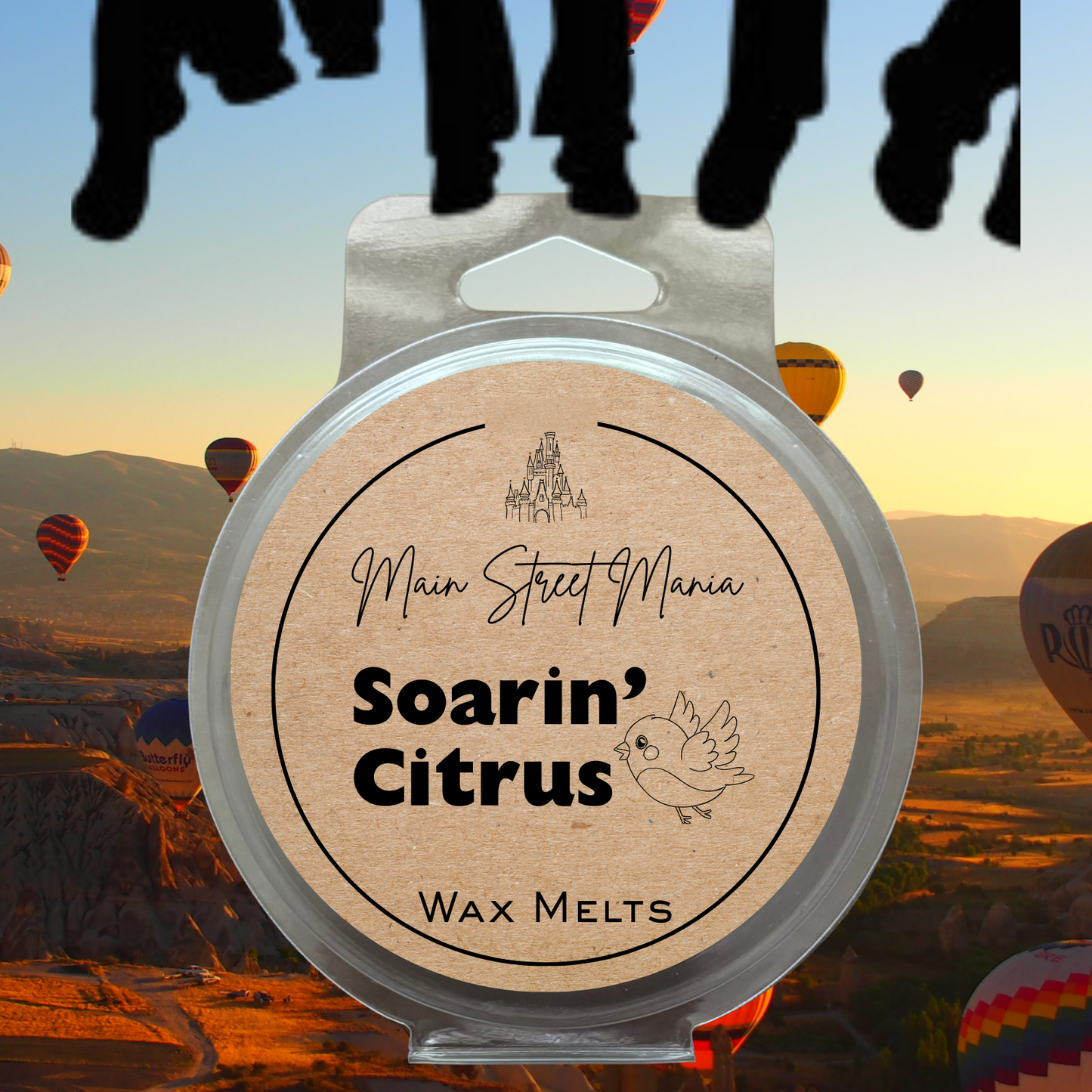 Soarin' Citrus Happiest Candle on Earth Wax Melt