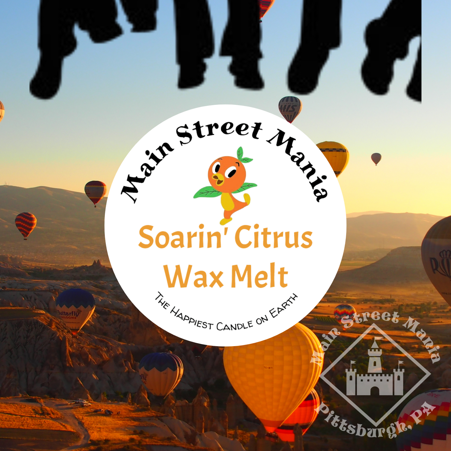 Soarin' Citrus Happiest Candle on Earth Wax Melt